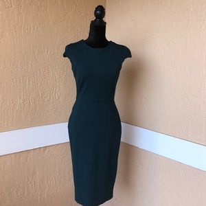 ZARA Zip Back Midi Dress